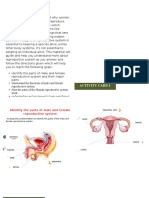 Reproductive System SIM