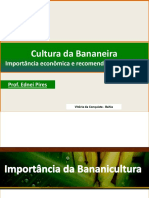 Cultivo de Bananeiras