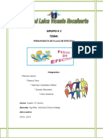 Presupuesto Flujo de Efectivo. Presupuesto Financiero