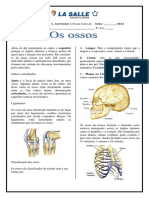 Exercicios de Fixacao Ossos - EFII PDF