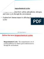 Biogeochemical Cycles