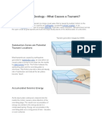 Tsunami Geology