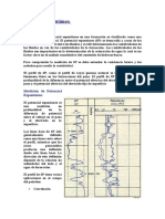 Potencial Espontáneo