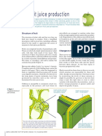 Enzymes in Fruit Juice Production