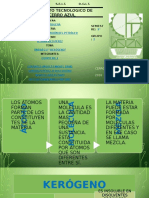 2.5 Kerógeno - Geología de Explotacion Del Petróleo