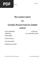 Final Mini Project Report