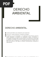 Derecho Ambiental.