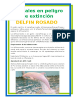 Animales en Extinsion