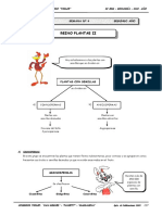 II Bim - Biolog - 2do. Año - Guía 4 - Reino Plantae II