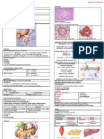 Pathology of Diabetes