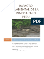 Impacto Ambiental de La Mineria en El Peru