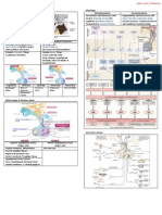 Pituitary Dysfunction