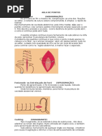 Aula de Pontos de Sutura