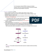 Cytoplasm: Glycolysis