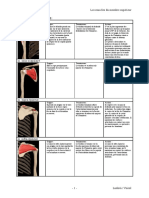 Anatomie Les Muscles Date Inconnue Ludovic Voirol