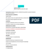 Resumen Traumatologia Cadera Rodilla Tobillo Pie