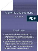 Anatomie Des Poumons PDF