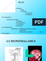 Hypophys e 4