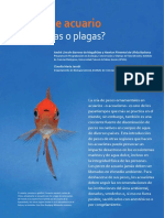 Peces Acuario PDF