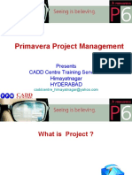 Primavera Project Management