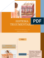 Sistema Tegumentario