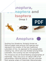 Anoplura: Dermaptera