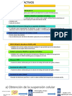 Digrama Flujo Practica 3