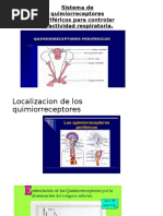 Sistema de Quimiorreceptores Periféricos para Controlar La Actividad