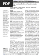 Impact of Exercise Selection On Hamstring Muscle Activation