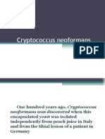 Cryptococcus