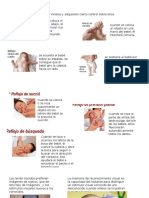 Cartilla Procesos