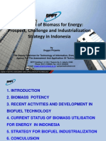 Utilization of Biomass For Energy: Prospect, Challenge and Industrialization Strategy in Indonesia