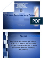 Anexos Embrionarios y Fetales