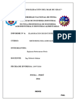 Informe Encurtidos Microbiologia Alimentaria