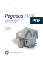 Pegasus - Induction Motor