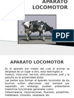 Aparato Locomotor