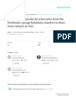 Formation of Spicules by Sclerocytes From The Fres PDF