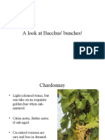 A Look at Bacchus' Bunches!