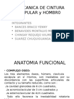 Biomecanica de Cintura Escapular y Hombro