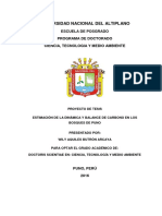 Proyecto Tesis ESTIMACIÓN Y DINÁMICA DE CARBONO