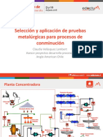 Anglo American - Claudia Velásquez PDF