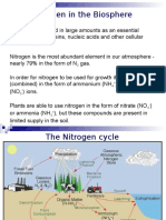 Nitrogen in The Biosphere