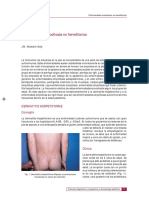 Libro de Dermatologia