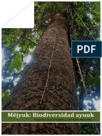 Biodiversidad Ayuuk