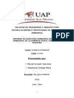 Informe de Auditoria - Creaciones Rosaura