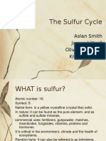 Sulfur Cycle