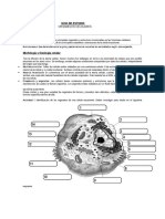 Guia de Estudio 1biología