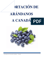 Arandanos A Canada Monografia Final