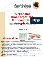 Organelas Bioenergeticas