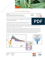 br4 Petroleum Economics and Risk Analysis PDF